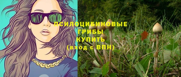 синтетический гашиш Каменка