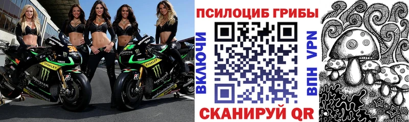 Псилоцибиновые грибы Psilocybe  Купить закладки  Ленинск 